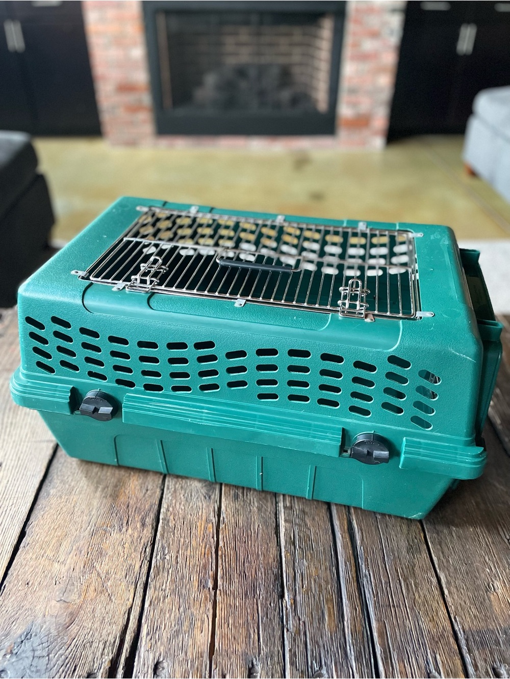 DOUBLE-DOOR Deluxe Pet Carrier in Teal Green - Cat Carrier - Small Dog Carrier - Picture 3 of 16
